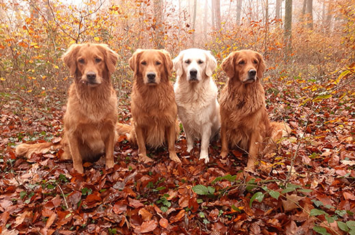 ausbilder beate schwarz