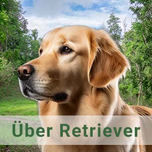 Was sind Retriever