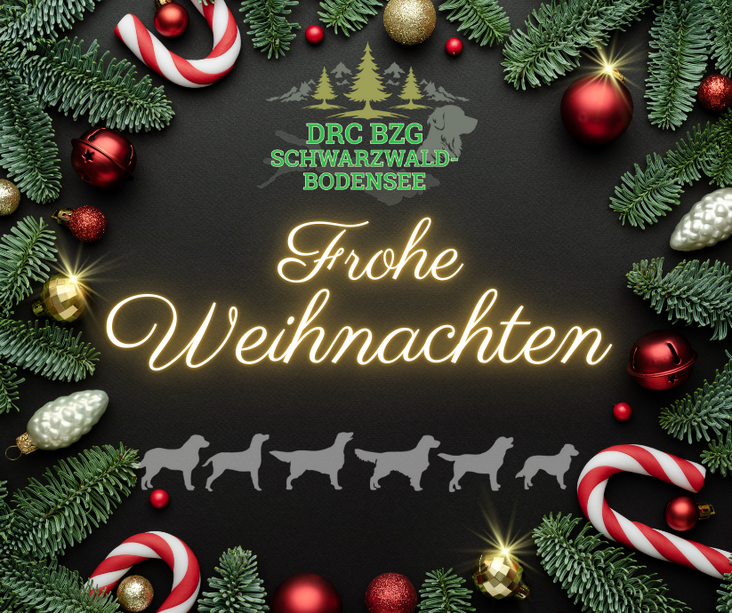 FroheWeihnachtenBZG2025HP