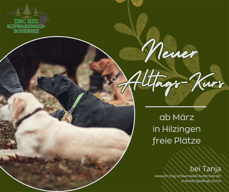 NeuerAlltagsKurs0325