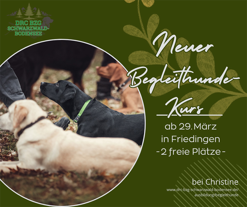 NeuerBegleithundeKurs0325