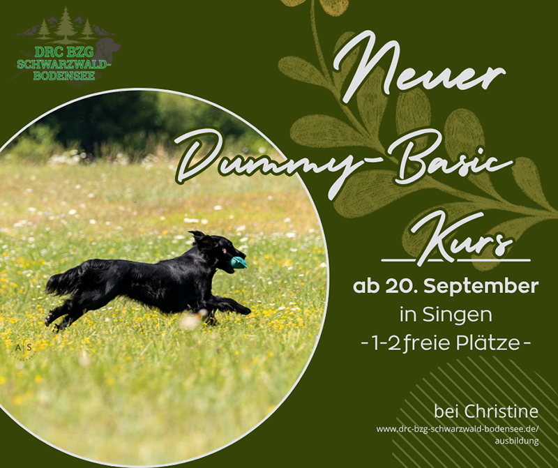 NeuerDummyBasicKurs0925