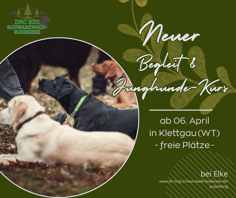 Neuer BH u Junghunde Kurs Elke 0425