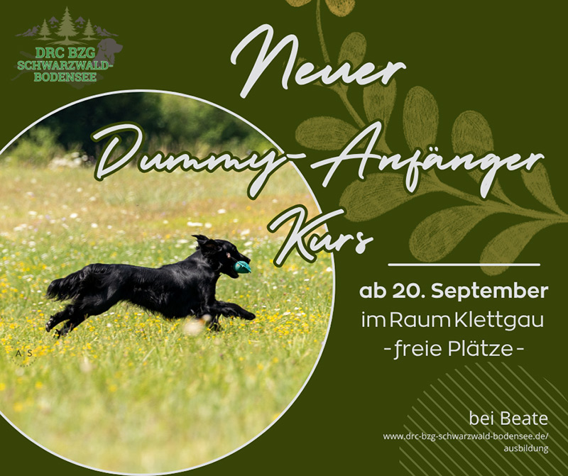 BZG Neuer Dummy Anfänger Kurs Beate HP